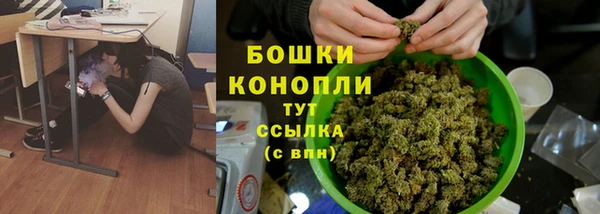 спиды Арсеньев