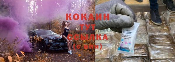 дживик Аркадак